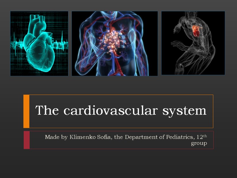 The cardiovascular system Made by Klimenko Sofia, the Department of Pediatrics, 12th group